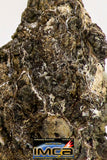 08986 - Top Rare 0.440 g NWA Unclassified Ureilite Achondrite Meteorite Polished Section