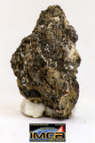 08986 - Top Rare 0.440 g NWA Unclassified Ureilite Achondrite Meteorite Polished Section