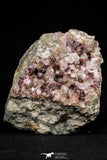 20860 - Pink Cobaltoan Calcite Crystals on Matrix - Bou Azzer Mine (South Morocco)