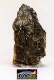 08988 - Top Rare 0.303 g NWA Unclassified Ureilite Achondrite Meteorite Polished Section