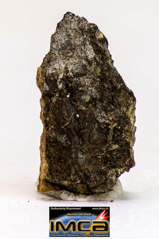 08988 - Top Rare 0.303 g NWA Unclassified Ureilite Achondrite Meteorite Polished Section