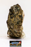 08988 - Top Rare 0.303 g NWA Unclassified Ureilite Achondrite Meteorite Polished Section