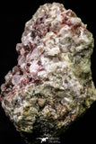 20860 - Pink Cobaltoan Calcite Crystals on Matrix - Bou Azzer Mine (South Morocco)