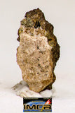 08989 - Top Rare 0.079 g NWA Unclassified Ureilite Achondrite Meteorite Polished Section