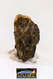 08990 - Top Rare 0.072 g NWA Unclassified Ureilite Achondrite Meteorite Polished Section