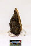 08990 - Top Rare 0.072 g NWA Unclassified Ureilite Achondrite Meteorite Polished Section