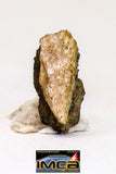 08990 - Top Rare 0.072 g NWA Unclassified Ureilite Achondrite Meteorite Polished Section