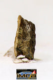08990 - Top Rare 0.072 g NWA Unclassified Ureilite Achondrite Meteorite Polished Section