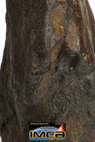 08991 - Complete Oriented NWA Unclassified Ordinary Chondrite Meteorite 4670g