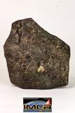 08992 - Complete NWA Unclassified Ordinary Chondrite Meteorite 890g