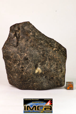 08992 - Complete NWA Unclassified Ordinary Chondrite Meteorite 890g