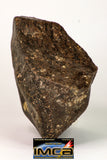 08992 - Complete NWA Unclassified Ordinary Chondrite Meteorite 890g