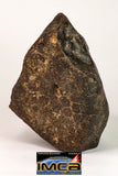 08992 - Complete NWA Unclassified Ordinary Chondrite Meteorite 890g
