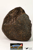 08993 - Almost Complete NWA Unclassified Ordinary Chondrite Meteorite 903 g