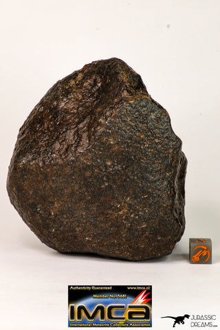 08993 - Almost Complete NWA Unclassified Ordinary Chondrite Meteorite 903 g