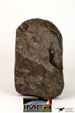 08993 - Almost Complete NWA Unclassified Ordinary Chondrite Meteorite 903 g