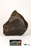 08993 - Almost Complete NWA Unclassified Ordinary Chondrite Meteorite 903 g