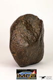 08993 - Almost Complete NWA Unclassified Ordinary Chondrite Meteorite 903 g