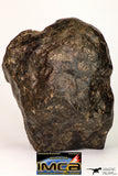 08994 - Almost Complete NWA Unclassified Ordinary Chondrite Meteorite 1338 g