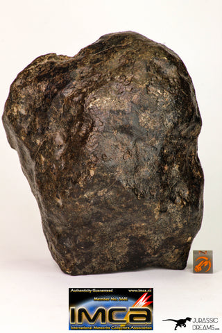 08994 - Almost Complete NWA Unclassified Ordinary Chondrite Meteorite 1338 g