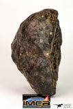 08994 - Almost Complete NWA Unclassified Ordinary Chondrite Meteorite 1338 g