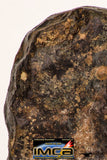 08994 - Almost Complete NWA Unclassified Ordinary Chondrite Meteorite 1338 g