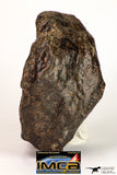 08994 - Almost Complete NWA Unclassified Ordinary Chondrite Meteorite 1338 g