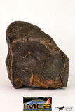 08995 - Almost Complete NWA Unclassified Ordinary Chondrite Meteorite 1184 g