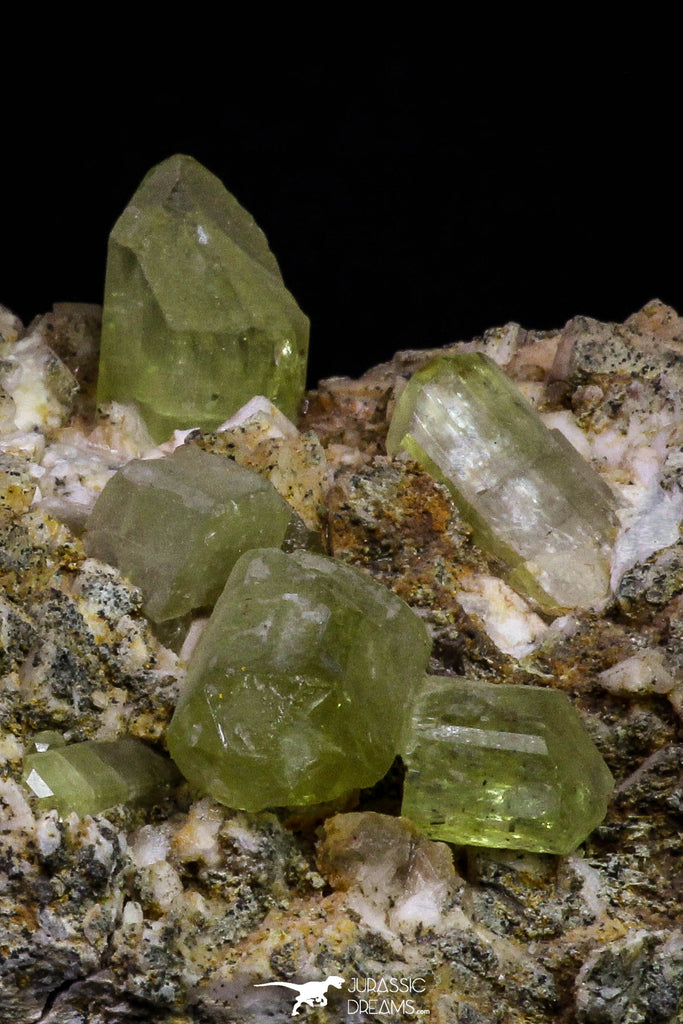 20863 -  Lustrous Yellow Green Apatite Crystals on Feldspar Matrix - Imilchil (Morocco)