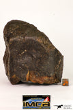 08995 - Almost Complete NWA Unclassified Ordinary Chondrite Meteorite 1184 g