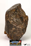 08995 - Almost Complete NWA Unclassified Ordinary Chondrite Meteorite 1184 g