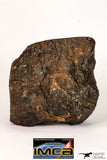 08995 - Almost Complete NWA Unclassified Ordinary Chondrite Meteorite 1184 g