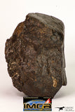 08995 - Almost Complete NWA Unclassified Ordinary Chondrite Meteorite 1184 g