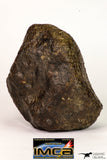 08996 - Complete NWA Unclassified Ordinary Chondrite Meteorite 970 g