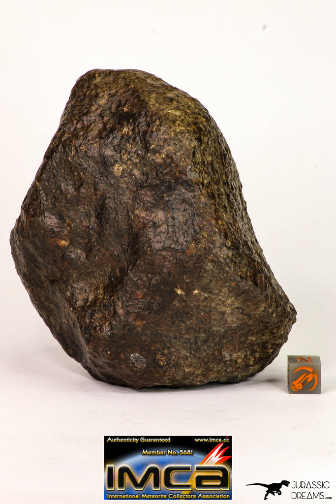 08996 - Complete NWA Unclassified Ordinary Chondrite Meteorite 970 g