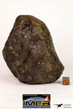 08996 - Complete NWA Unclassified Ordinary Chondrite Meteorite 970 g