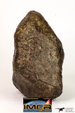 08996 - Complete NWA Unclassified Ordinary Chondrite Meteorite 970 g