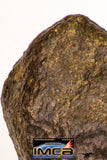 08996 - Complete NWA Unclassified Ordinary Chondrite Meteorite 970 g