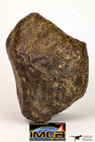 08996 - Complete NWA Unclassified Ordinary Chondrite Meteorite 970 g