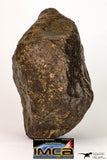 08996 - Complete NWA Unclassified Ordinary Chondrite Meteorite 970 g