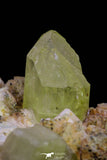 20863 -  Lustrous Yellow Green Apatite Crystals on Feldspar Matrix - Imilchil (Morocco)