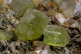 20863 -  Lustrous Yellow Green Apatite Crystals on Feldspar Matrix - Imilchil (Morocco)