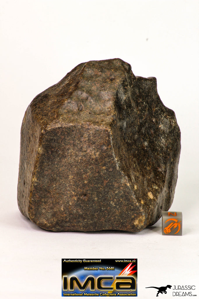 08997 - Almost Complete NWA Unclassified Ordinary Chondrite Meteorite 714 g