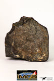 08997 - Almost Complete NWA Unclassified Ordinary Chondrite Meteorite 714 g