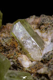 20863 -  Lustrous Yellow Green Apatite Crystals on Feldspar Matrix - Imilchil (Morocco)
