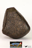 08998 - Complete NWA Unclassified Ordinary Chondrite Meteorite 554.1 g