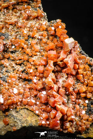 06260 -  Beautiful Red Vanadinite Crystals Cluster from Mibladen Mining District, Midelt Province, Morocco