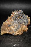 06260 -  Beautiful Red Vanadinite Crystals Cluster from Mibladen Mining District, Midelt Province, Morocco