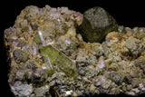 20864 - Lustrous Yellow Green Apatite Crystals on Feldspar Matrix - Imilchil (Morocco)