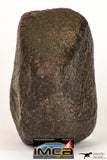 08998 - Complete NWA Unclassified Ordinary Chondrite Meteorite 554.1 g